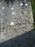 image of grave number 554433